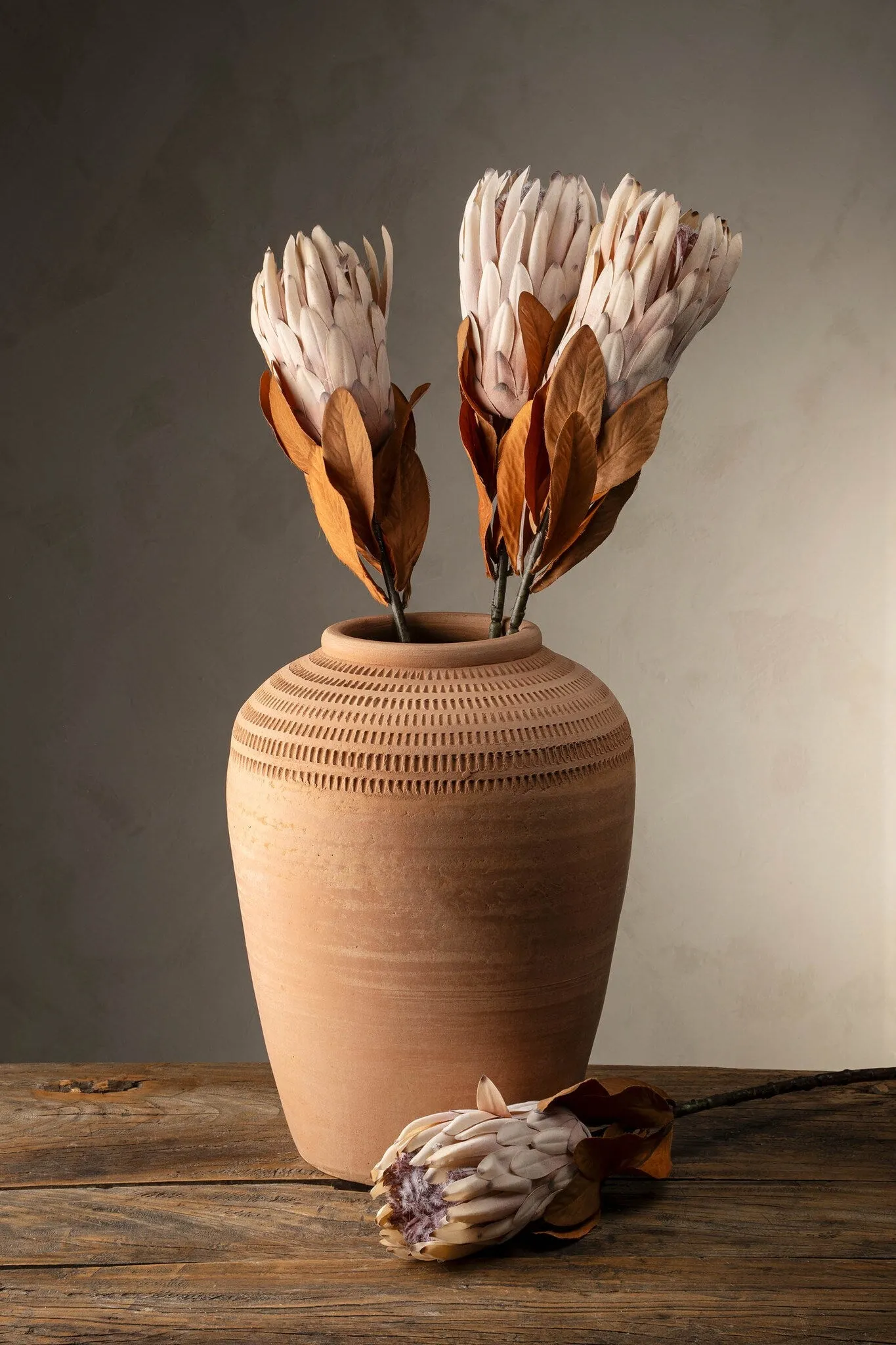 King Protea Floral Stem