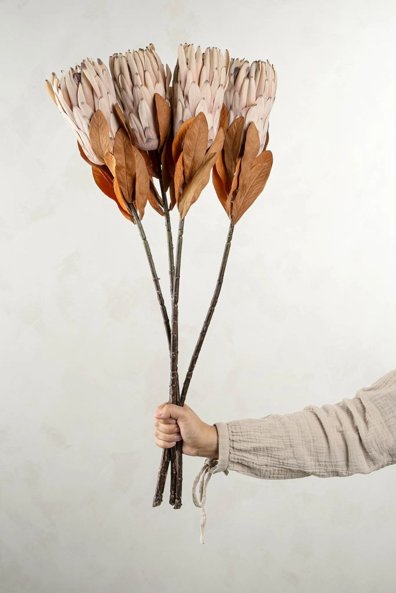 King Protea Floral Stem